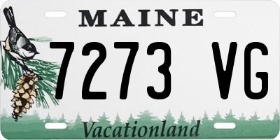 ME license plate 7273VG