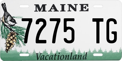 ME license plate 7275TG