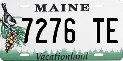 ME license plate 7276TE
