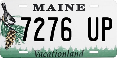 ME license plate 7276UP