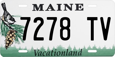 ME license plate 7278TV