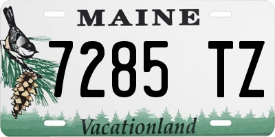 ME license plate 7285TZ