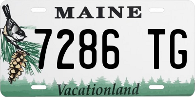 ME license plate 7286TG