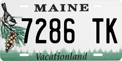 ME license plate 7286TK