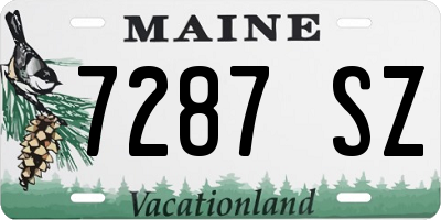 ME license plate 7287SZ
