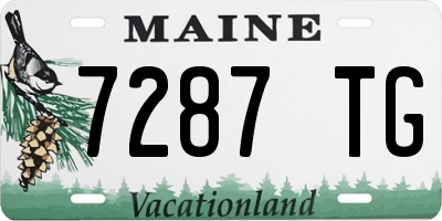 ME license plate 7287TG