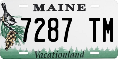 ME license plate 7287TM