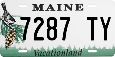ME license plate 7287TY