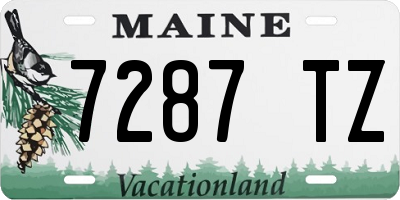 ME license plate 7287TZ