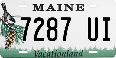 ME license plate 7287UI