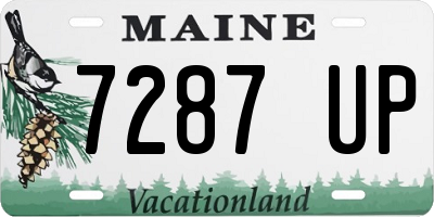 ME license plate 7287UP