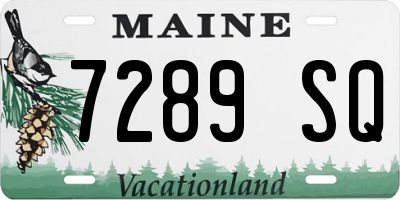ME license plate 7289SQ