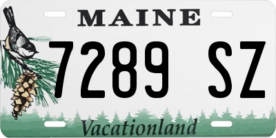 ME license plate 7289SZ