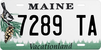 ME license plate 7289TA