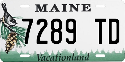 ME license plate 7289TD