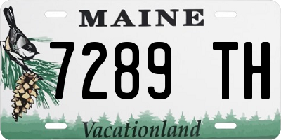 ME license plate 7289TH
