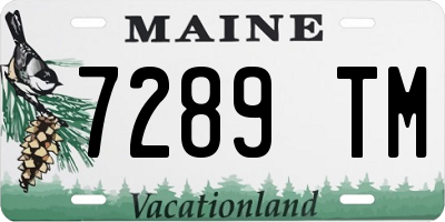 ME license plate 7289TM