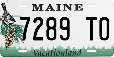 ME license plate 7289TO