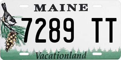 ME license plate 7289TT