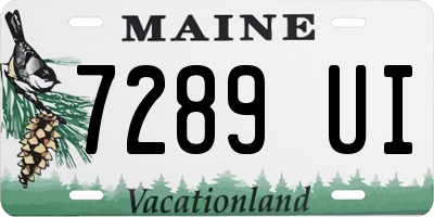 ME license plate 7289UI