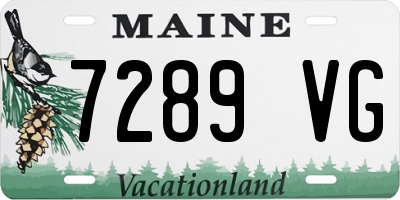 ME license plate 7289VG