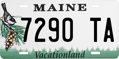 ME license plate 7290TA