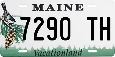 ME license plate 7290TH