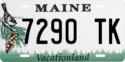 ME license plate 7290TK