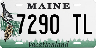 ME license plate 7290TL