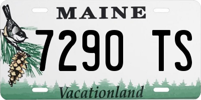 ME license plate 7290TS