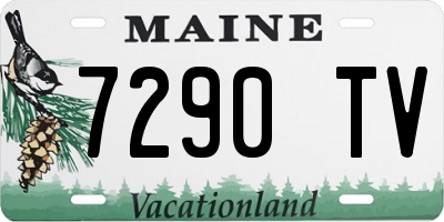 ME license plate 7290TV