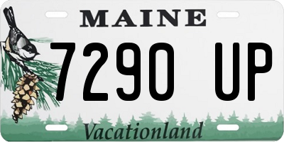 ME license plate 7290UP