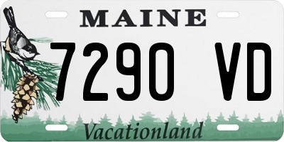 ME license plate 7290VD