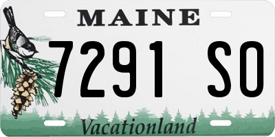 ME license plate 7291SO