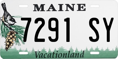 ME license plate 7291SY