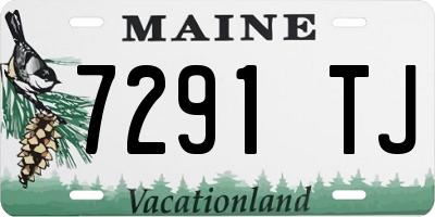 ME license plate 7291TJ