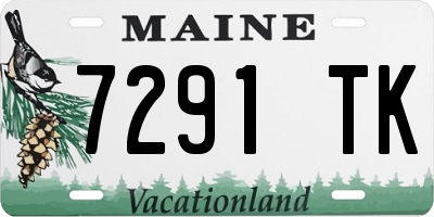 ME license plate 7291TK