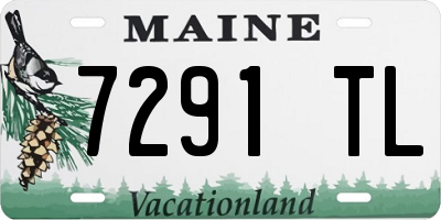 ME license plate 7291TL