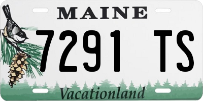 ME license plate 7291TS