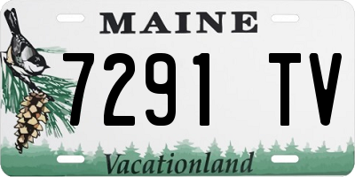 ME license plate 7291TV