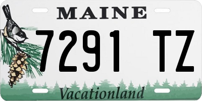 ME license plate 7291TZ