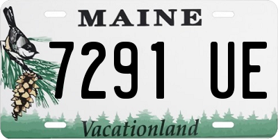 ME license plate 7291UE