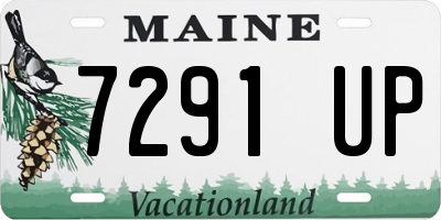 ME license plate 7291UP
