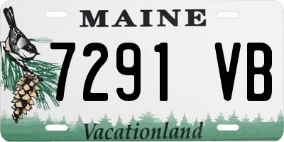 ME license plate 7291VB