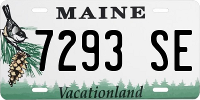 ME license plate 7293SE