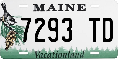 ME license plate 7293TD