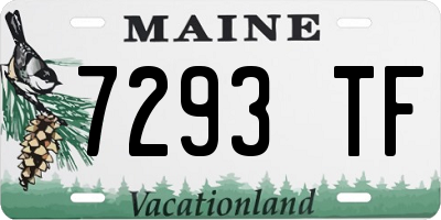 ME license plate 7293TF