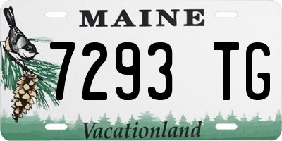 ME license plate 7293TG