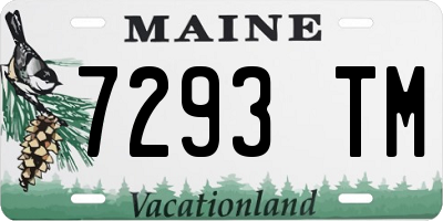 ME license plate 7293TM