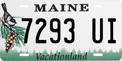 ME license plate 7293UI